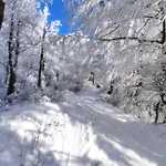 Margus 3* Ócsad
