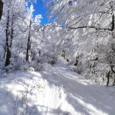 Margus 3* אוסקדניצה