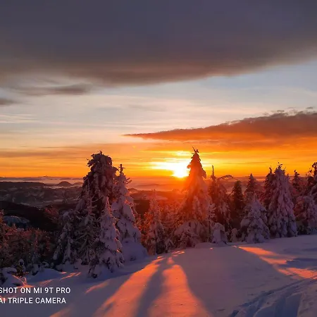 בית הארחה Margus