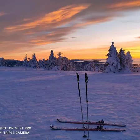 Margus אוסקדניצה