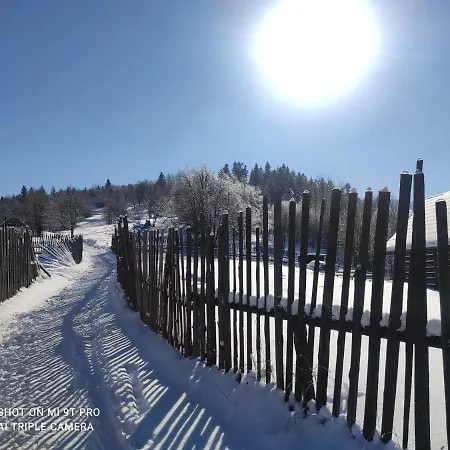 Margus בית הארחה