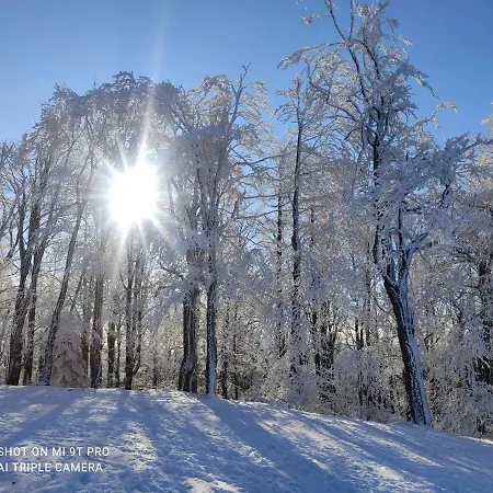 Guest house Margus 3*